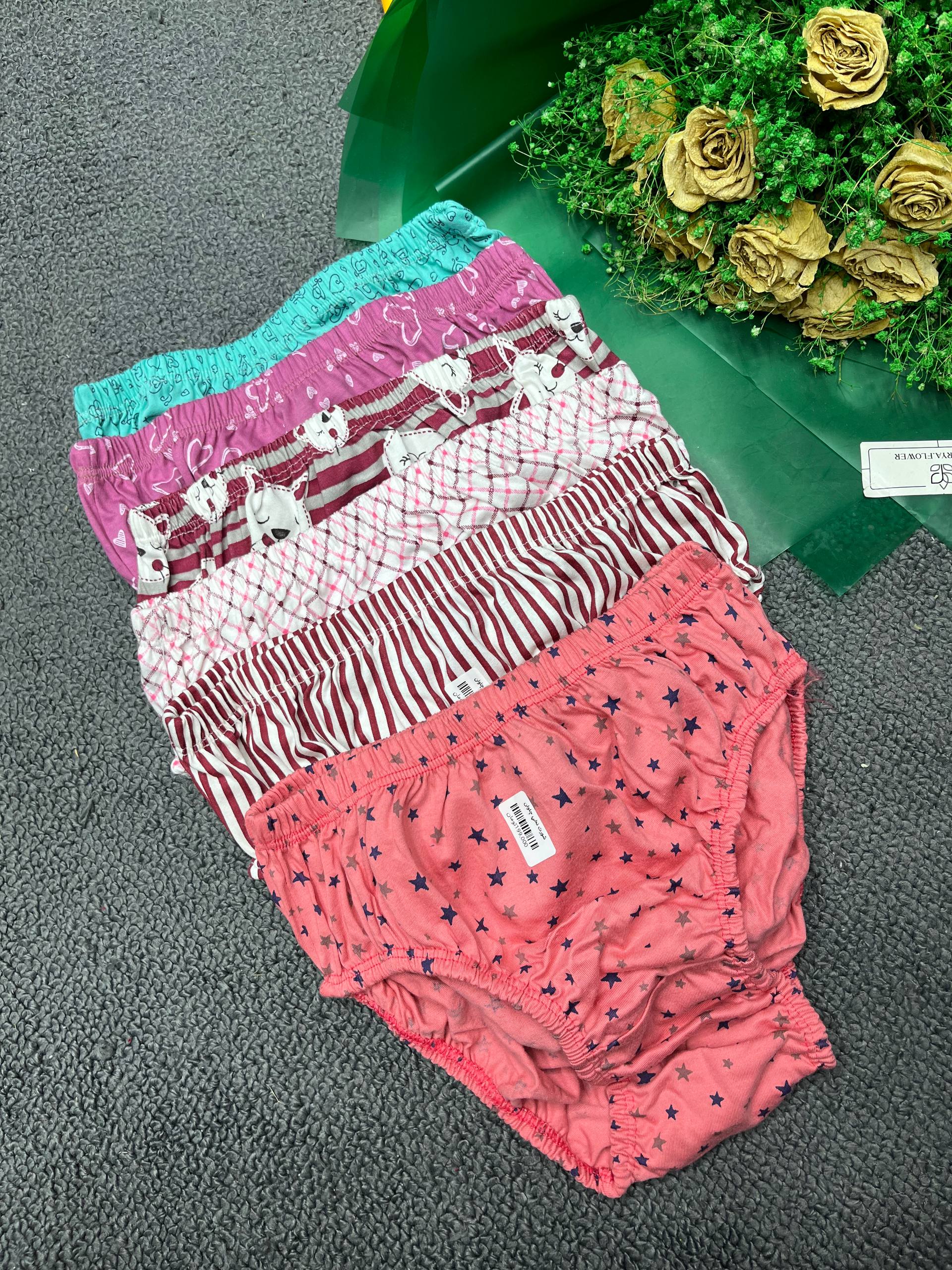 photo_2025-11-18_11-34-21